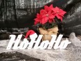2016-12-05 09.45.42